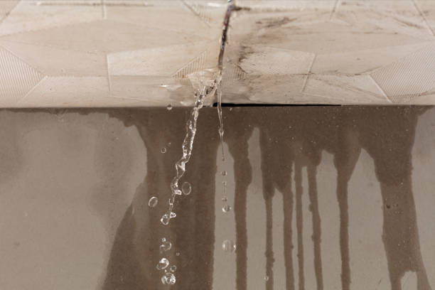 Professional Structural Drying technician working in Lima, PA